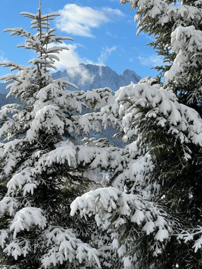 Kwatera Gorska 903Mnpm Zakopane Exterior foto