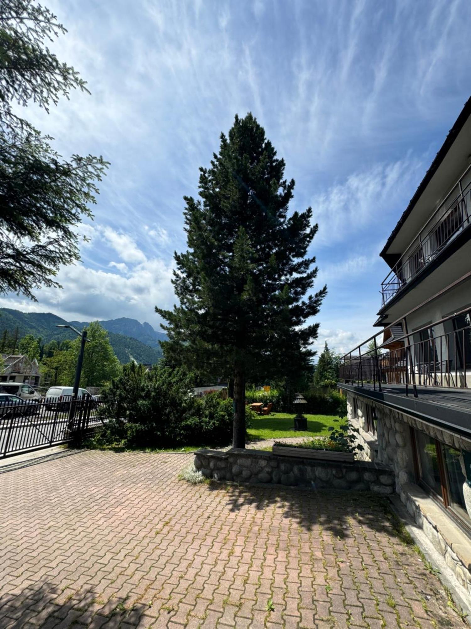 Kwatera Gorska 903Mnpm Zakopane Exterior foto